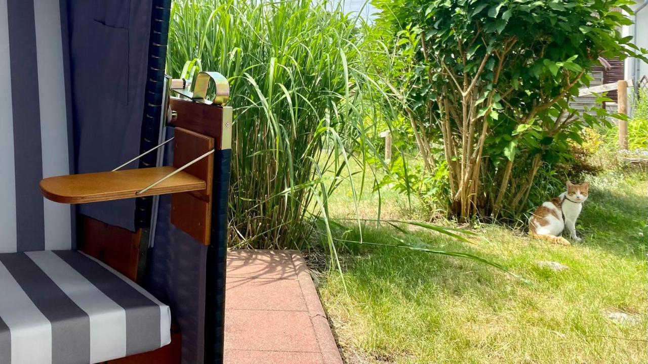 Ferienapartment Casa Heideblick Mit Sonnenterrasse & Garten 拉德贝格 外观 照片